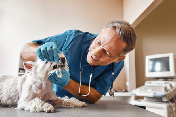Best Emergency Dental Care for Trauma or Injury in Yazoo City, MS